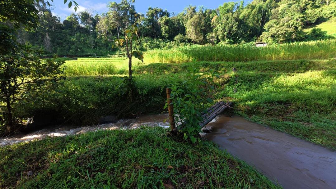 Photo of Others in Samoeng