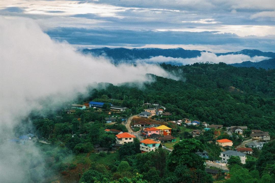 Photo of Others in Mae Fa Luang