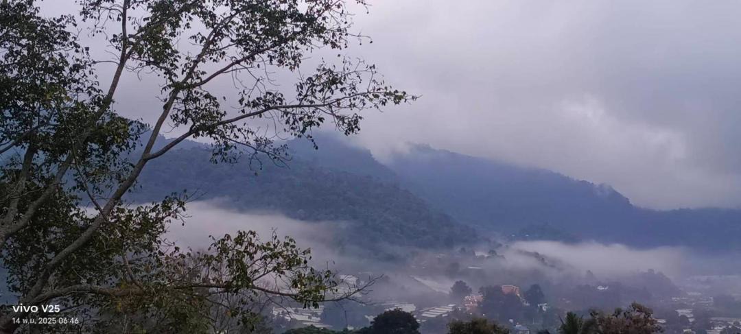 Photo of Others in Pong Yaeng