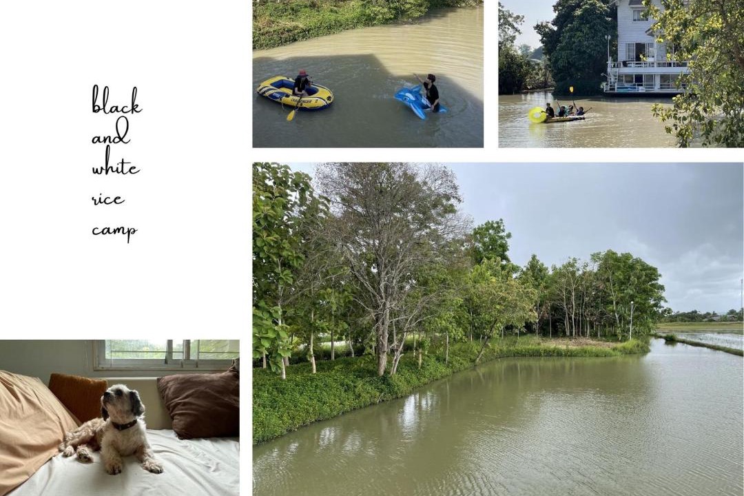 Photo of Others in Chiang Rai