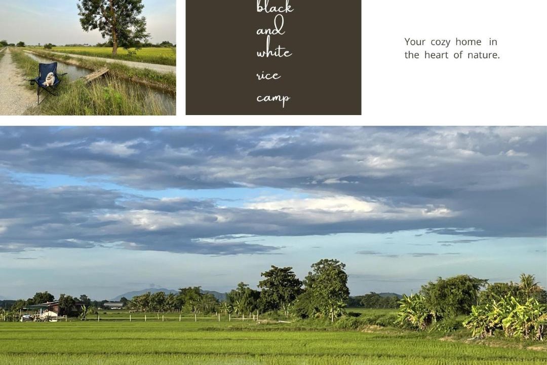 Photo of Others in Chiang Rai