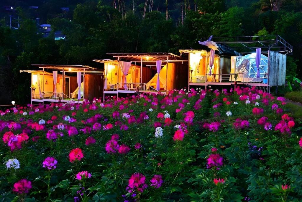 Photo of Others in Mae Taeng