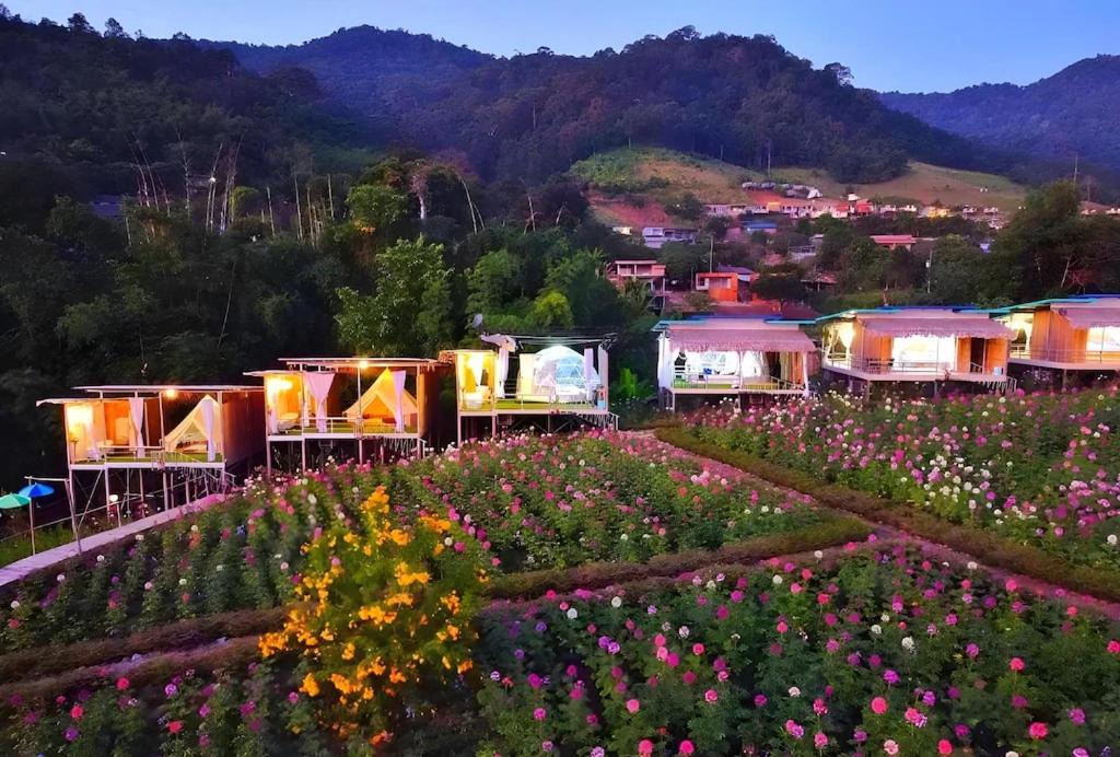 Photo of Others in Mae Taeng