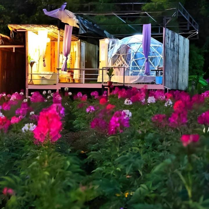 Photo of Others in Mae Taeng