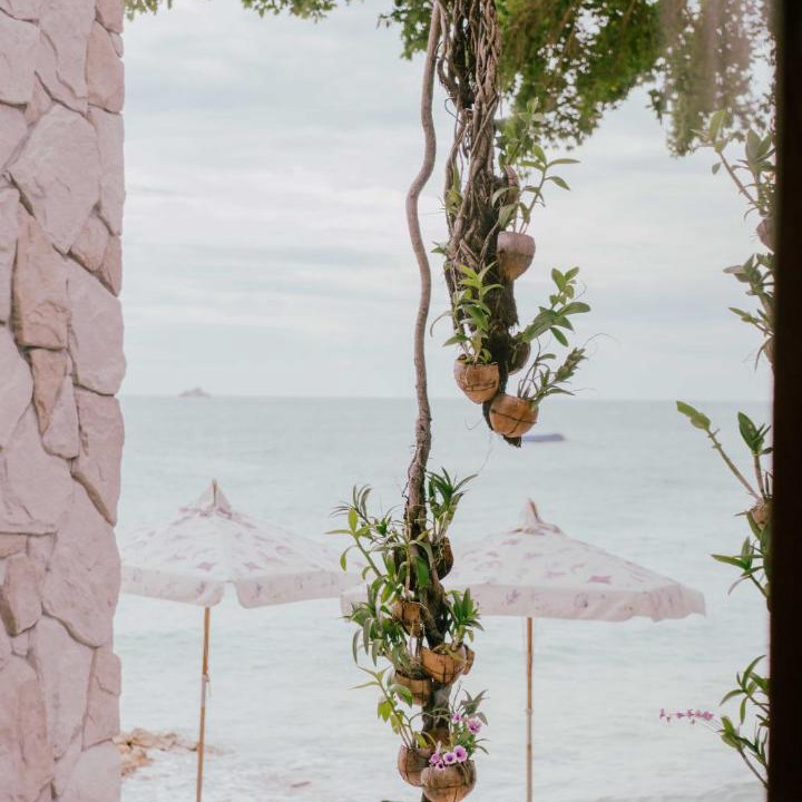 Photo of Others in Rayong