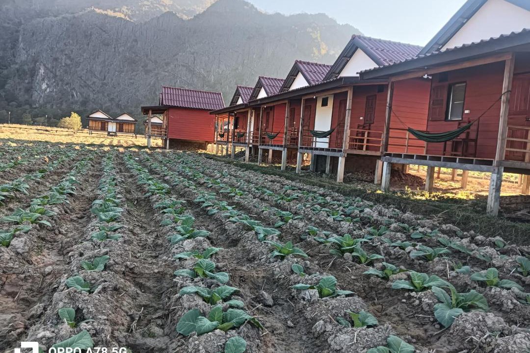 Photo of Others in Kong Lor