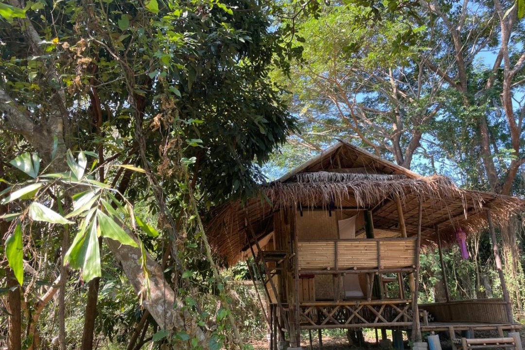 Photo of Others in Doi Saket