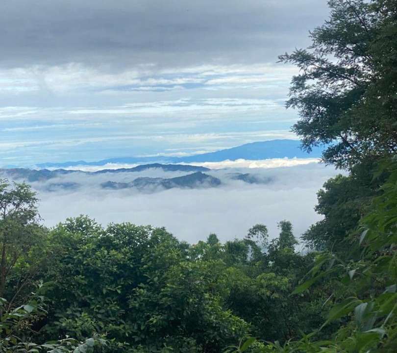 Photo of Others in Chiang Rai Province