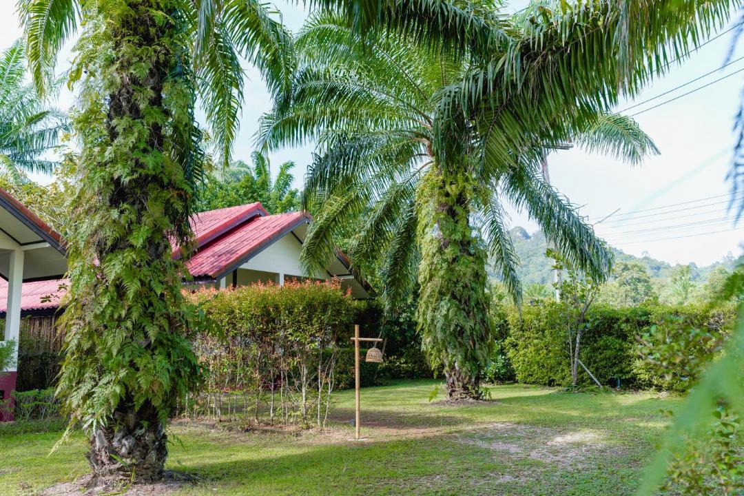 Photo of Others in Krabi