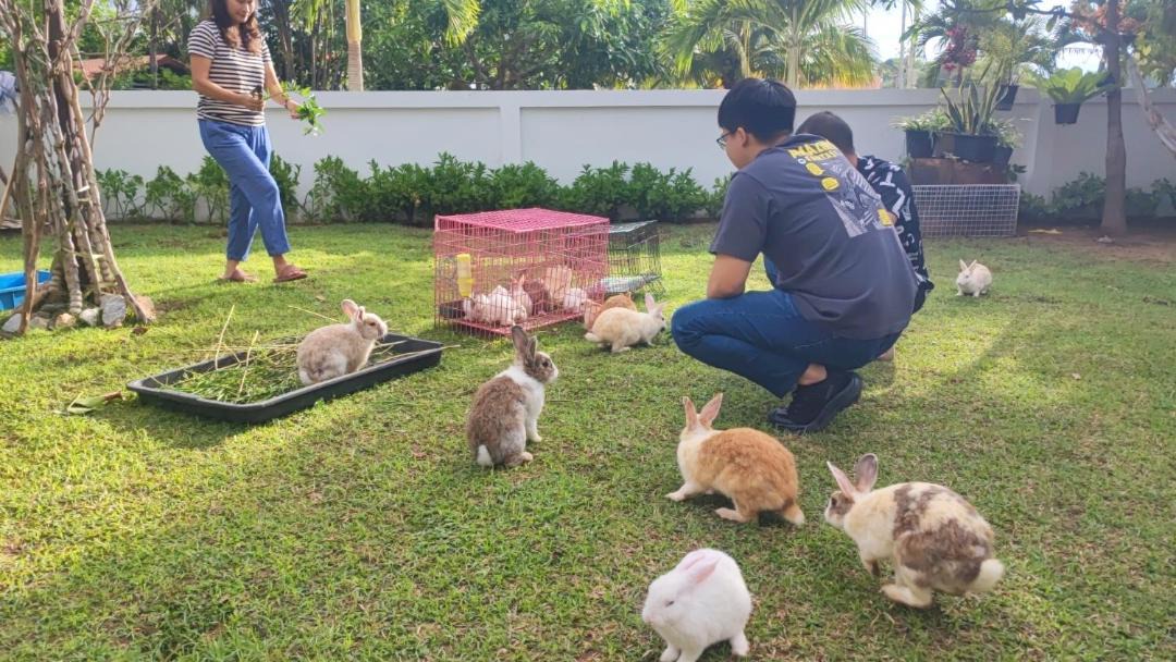 Photo of Others in Ban Phai