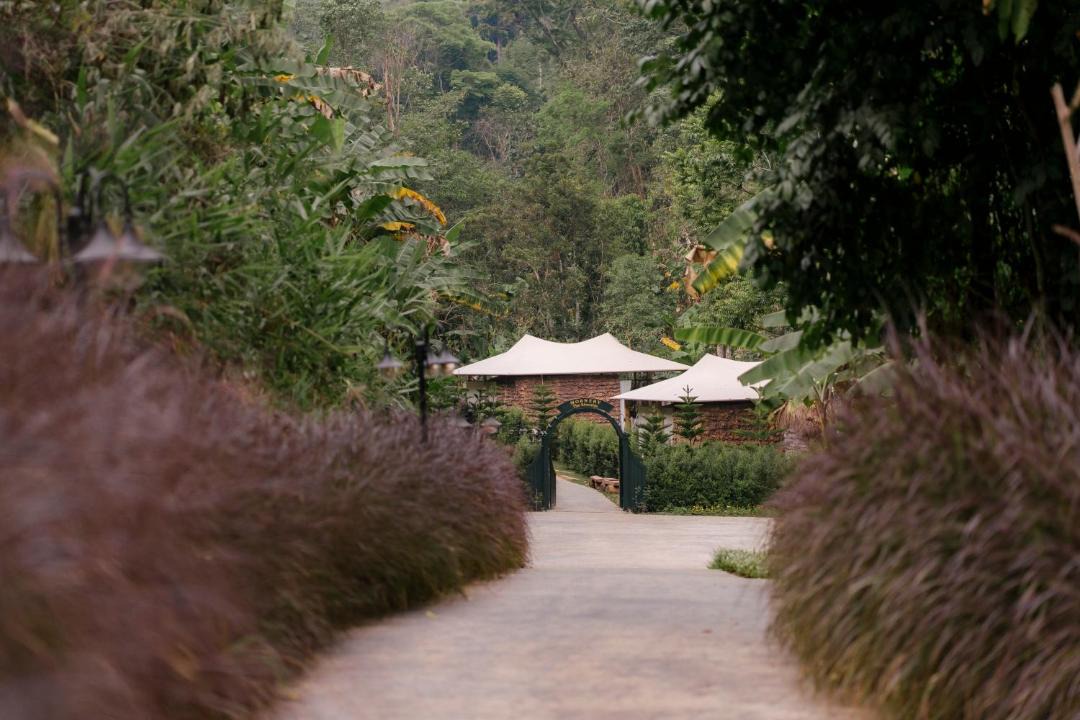 Photo of Others in Doi Saket