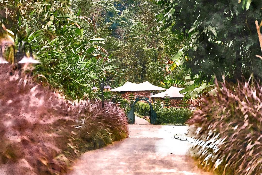Photo of Others in Doi Saket