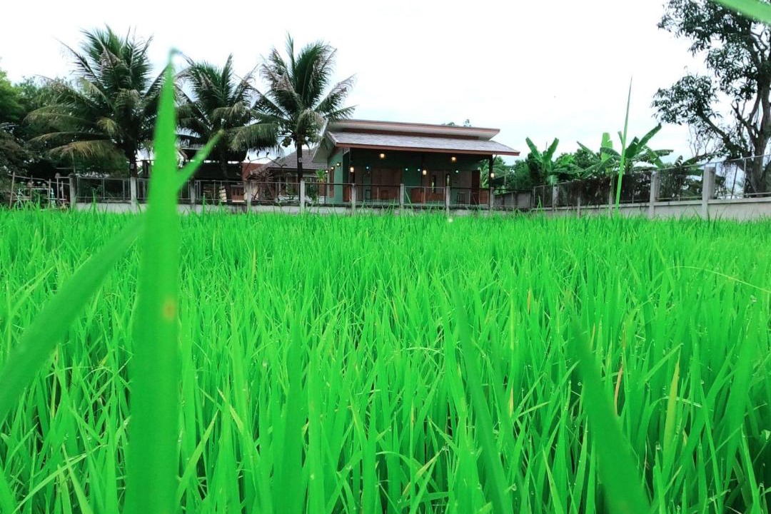 Photo of Others in San Pu Loei