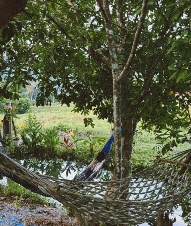 Photo of Others in Satun