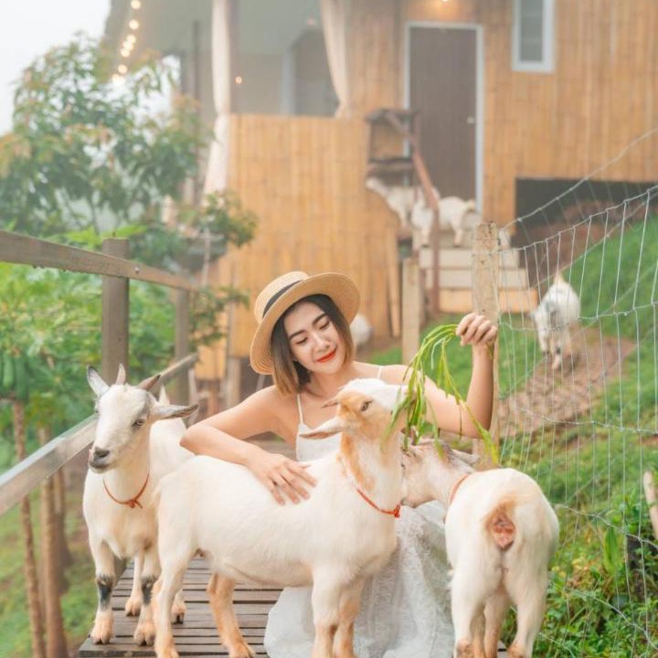 Photo of Others in Mae Rim