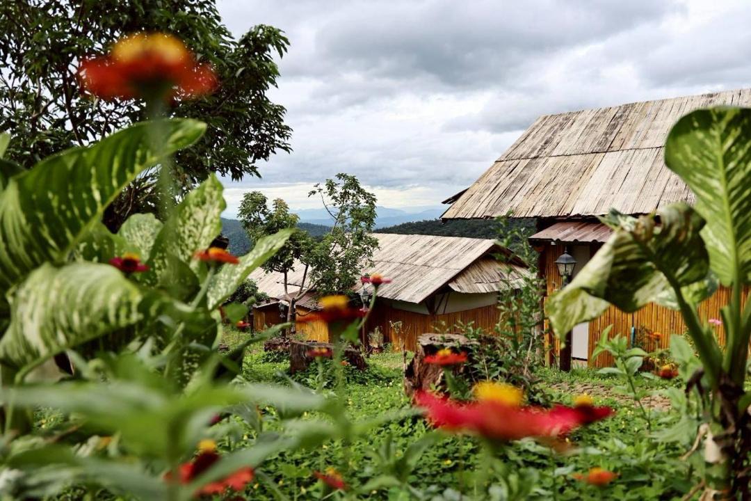 Photo of Others in Mae Rim