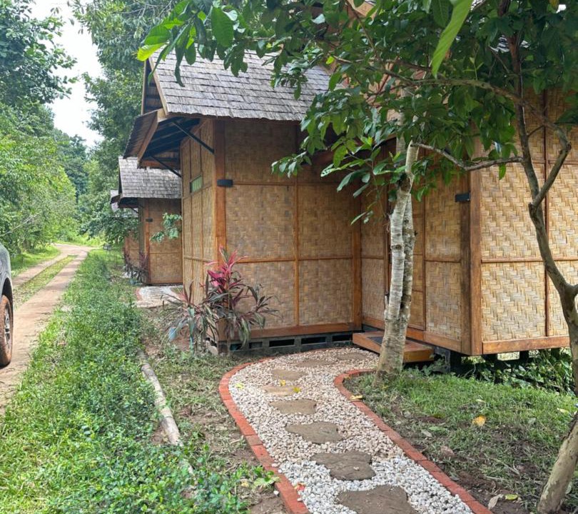 Photo of Others in Luang Namtha Province