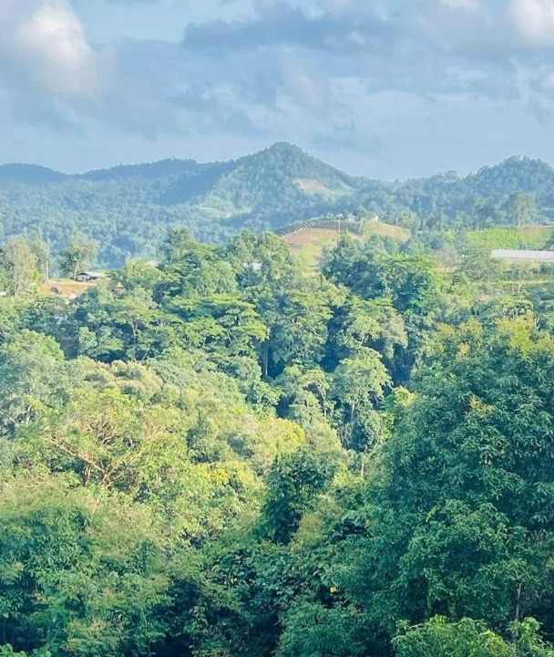 Photo of Others in Mae Rim
