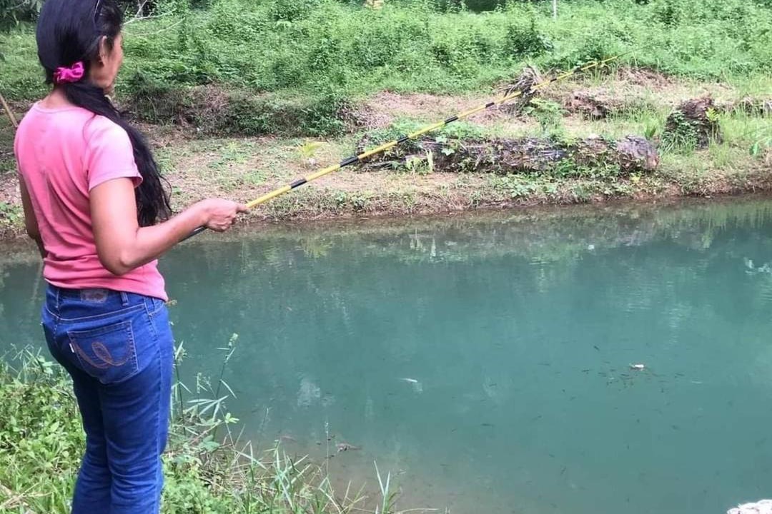 Photo of Others in Nong Thale