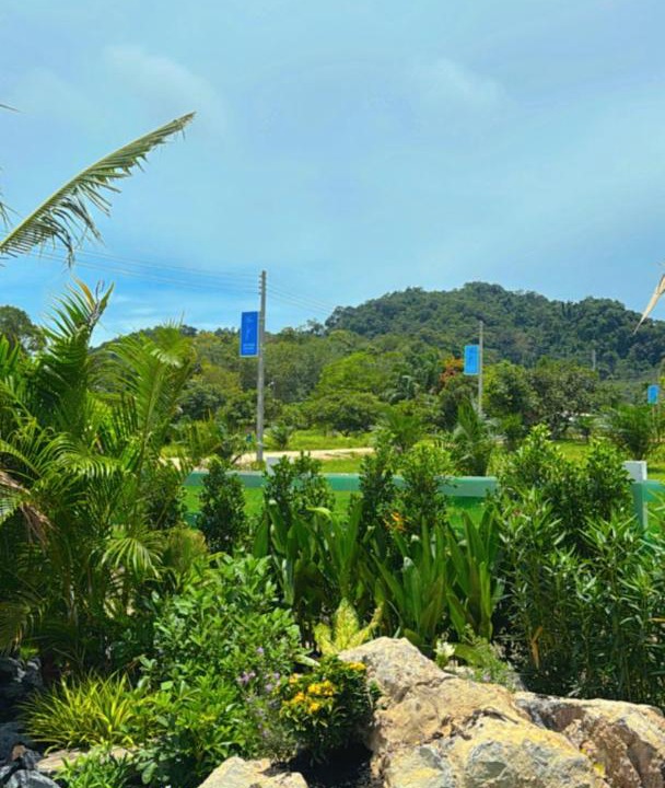 Photo of Others in Krabi