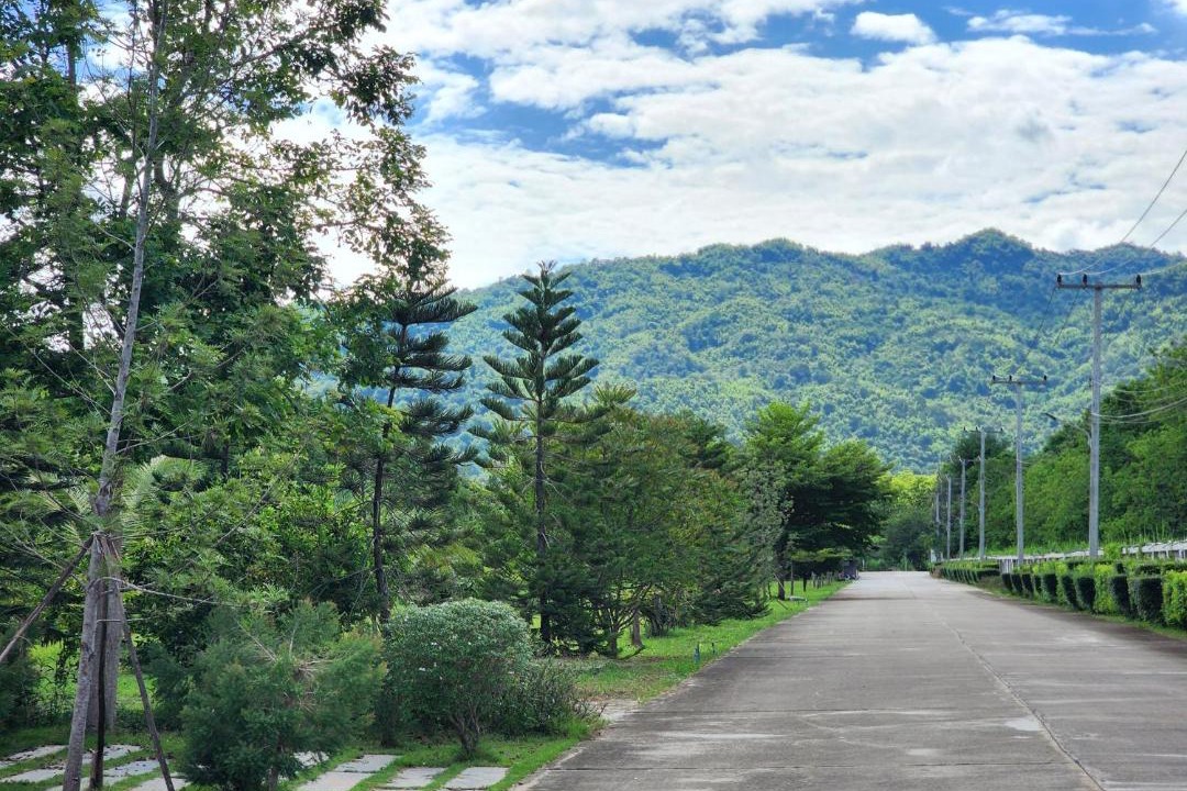 Photo of Others in Phetchabun