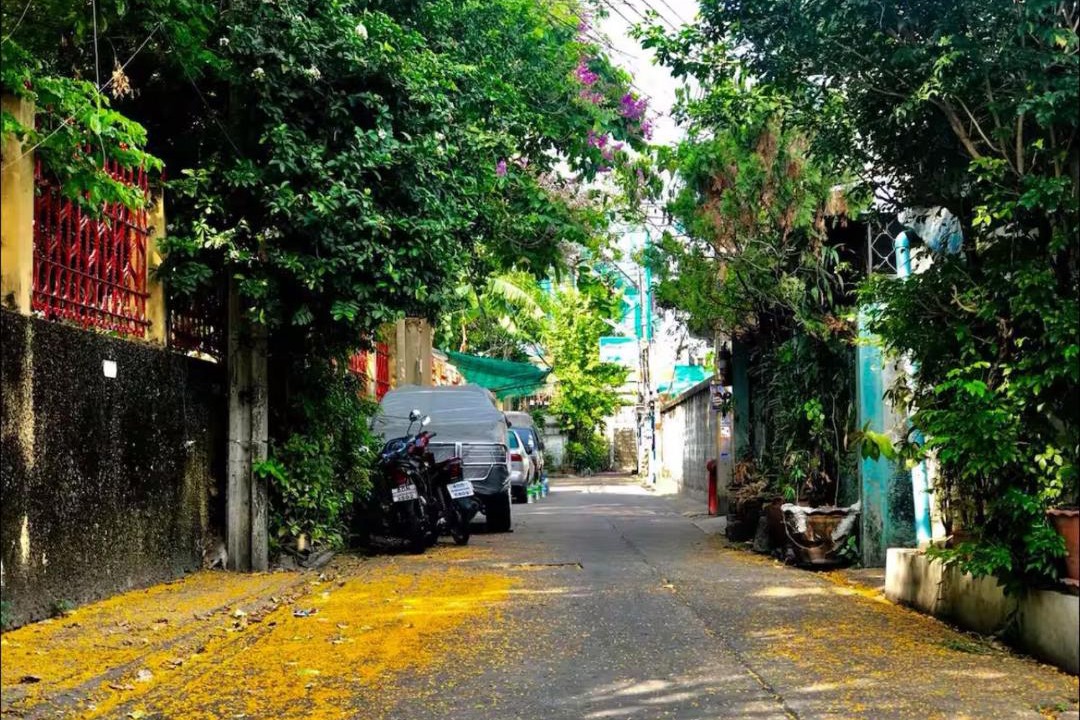 Photo of Others in Bangkok Yai