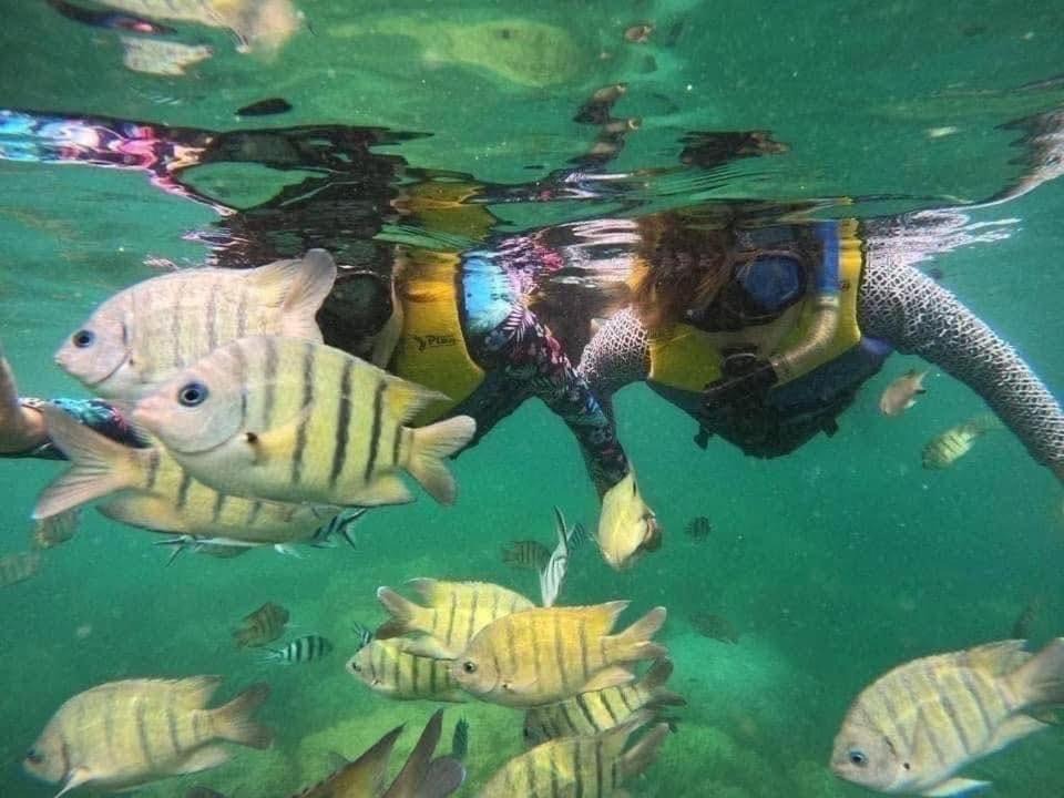 Photo of Others in Koh Lan
