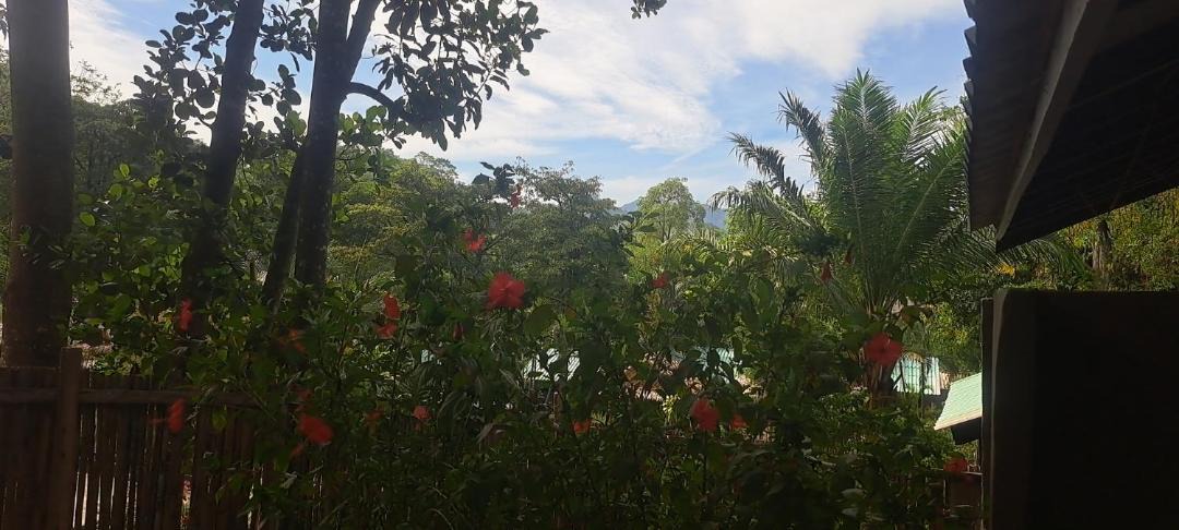 Photo of Others in Ko Lanta