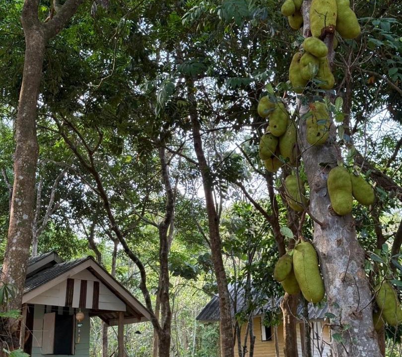 Photo of Others in Ranong