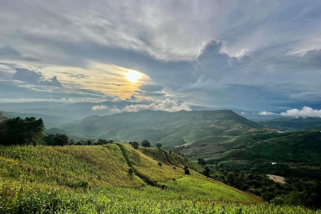 Photo of Others in Mae Suai