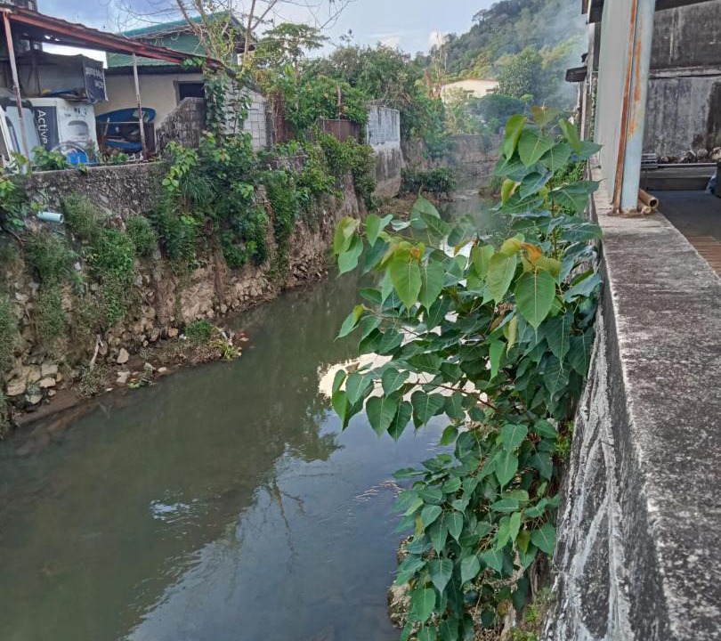 Photo of Others in Talat Yai