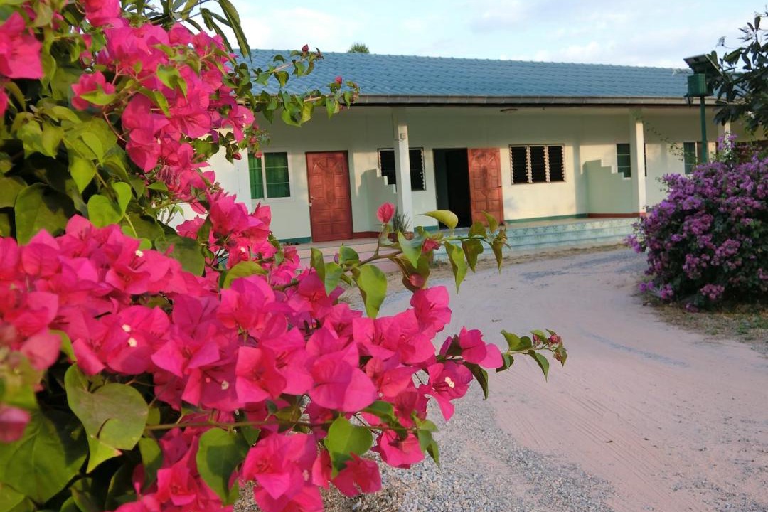 Photo of Others in Nong Kung Si