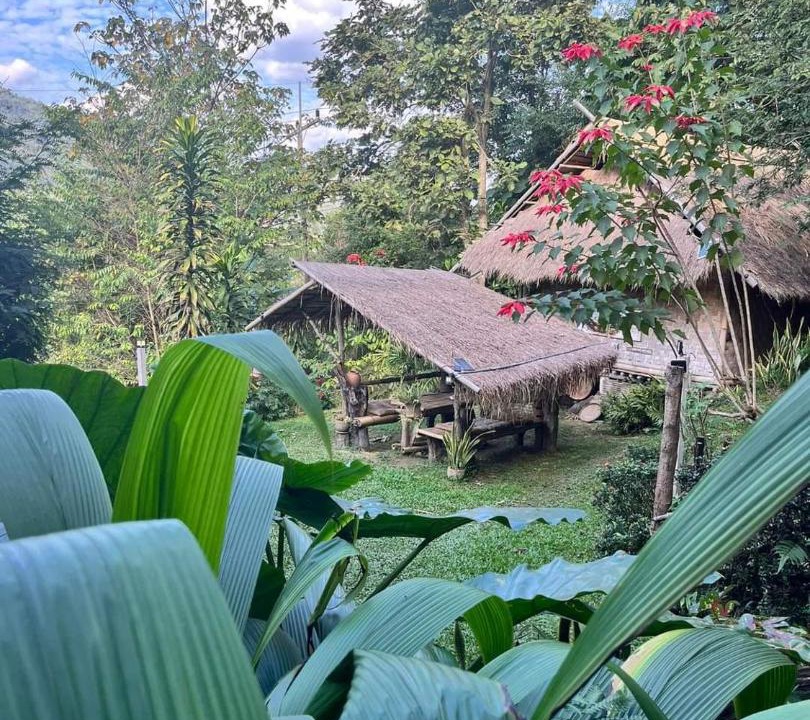 Photo of Others in Chiang Khong