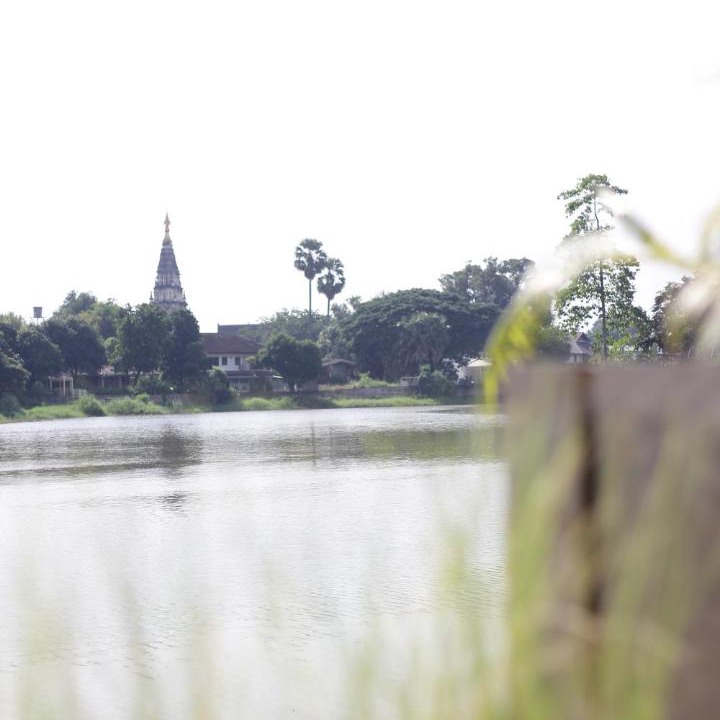 Photo of Others in Chiang Mai