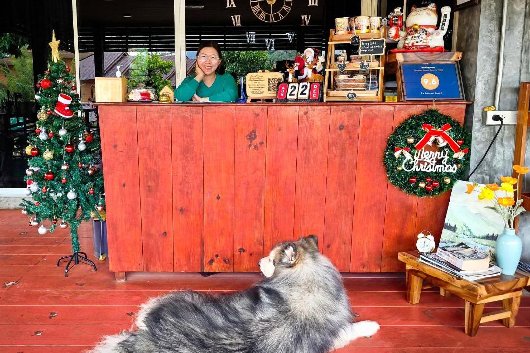 Photo of Others in Pai