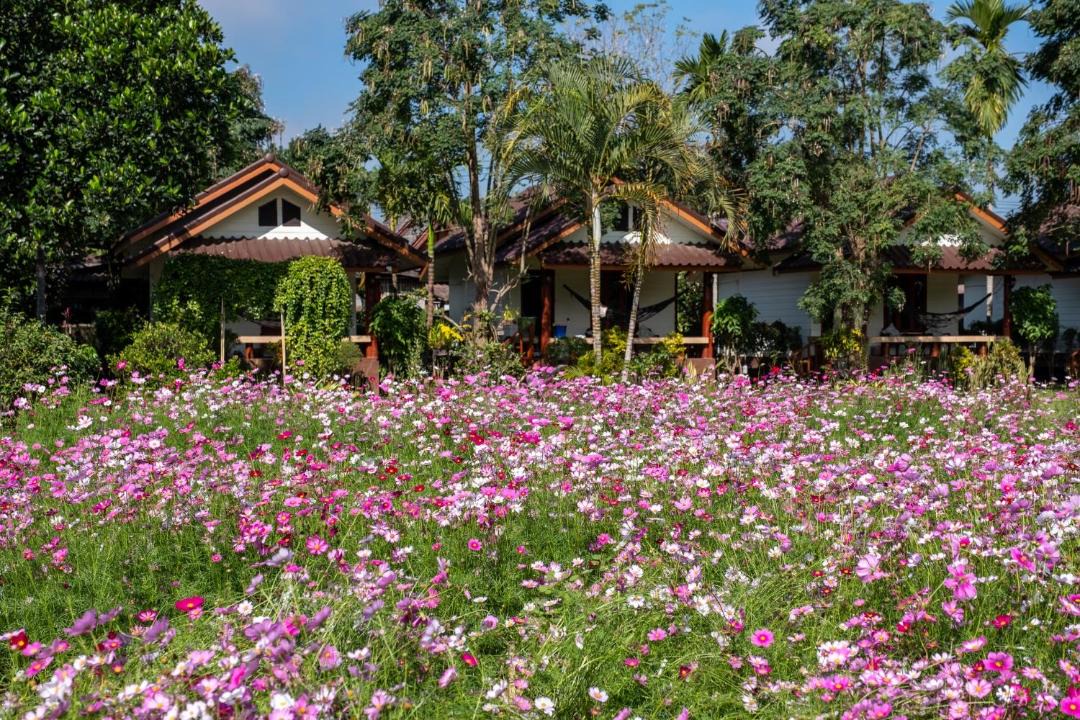 Photo of Others in Pai