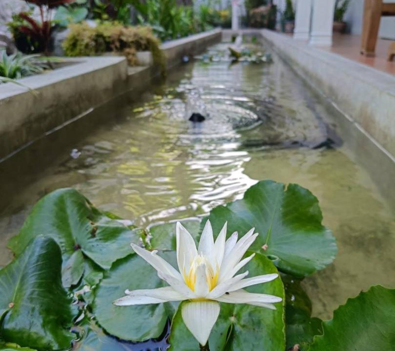 Photo of Others in Phra Nakhon