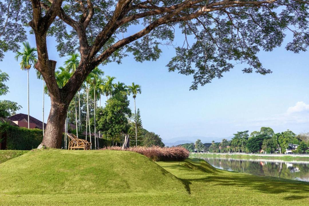 Photo of Others in Chiang Rai
