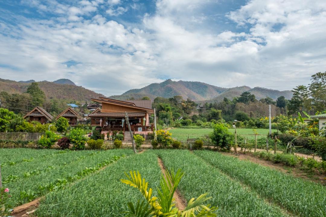 Photo of Others in Pai