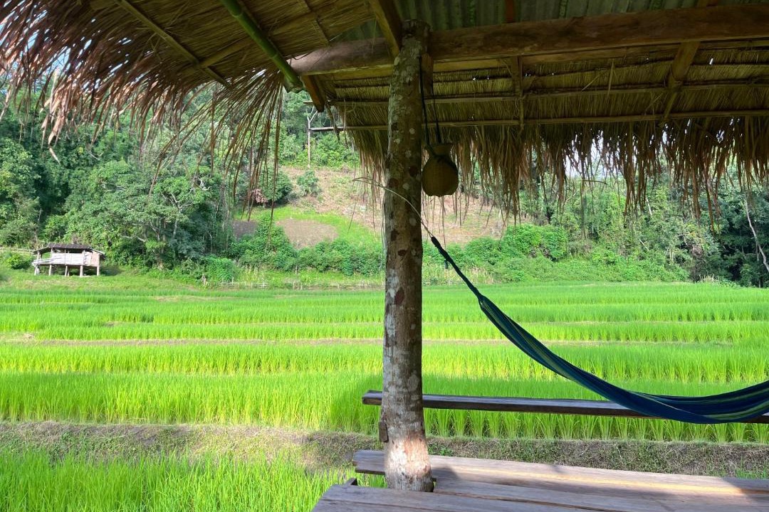 Photo of Others in Samoeng