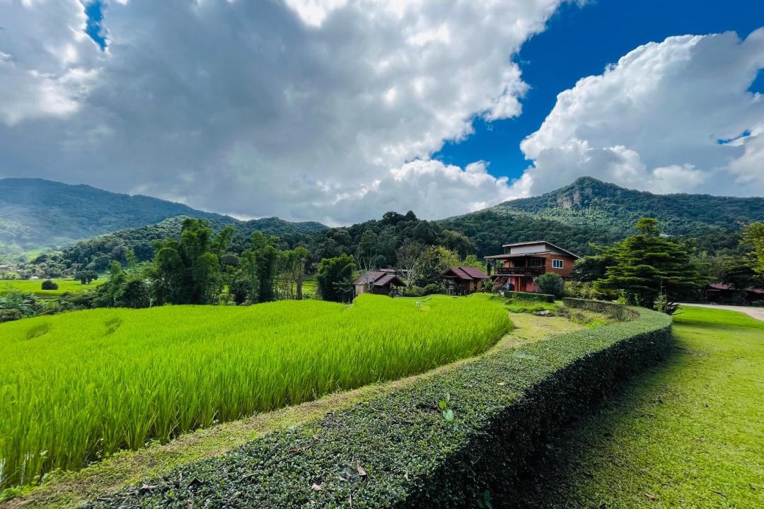 Photo of Others in Chom Thong