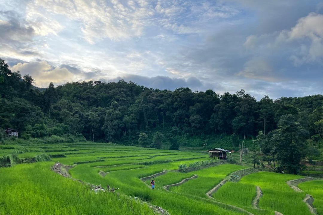 Photo of Others in Samoeng