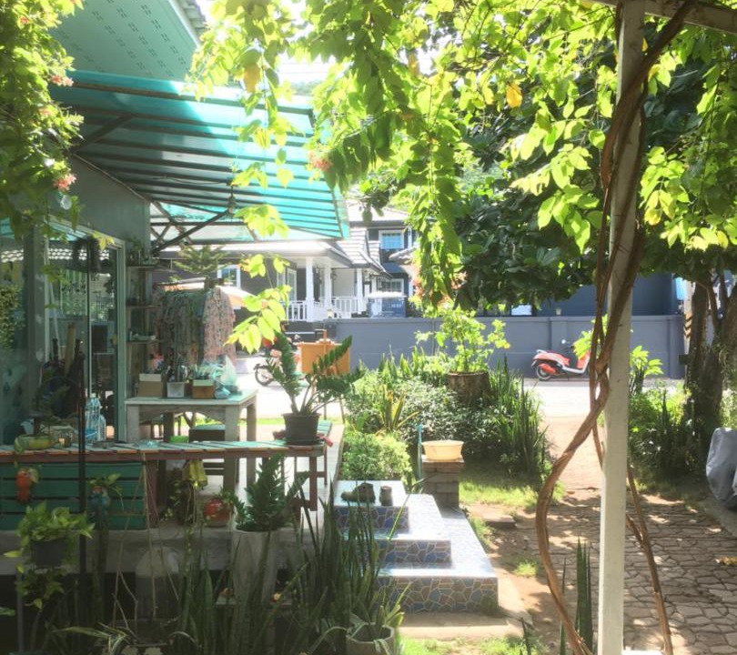 Photo of Others in Koh Lan
