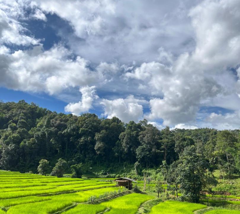 Photo of Others in Samoeng