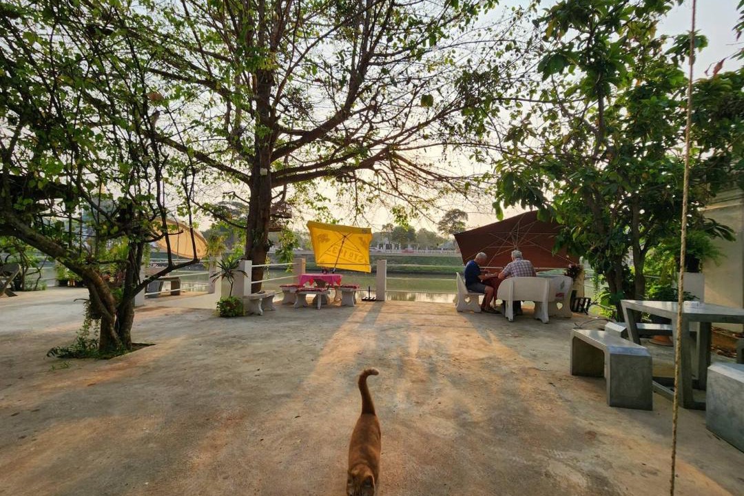 Photo of Others in Ayutthaya