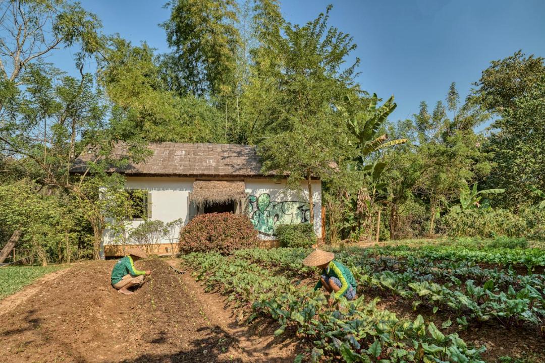 Photo of Others in Luang Prabang