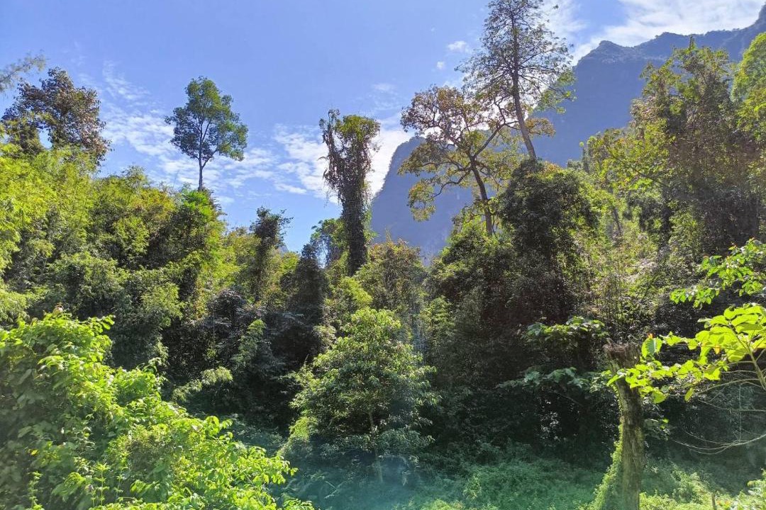 Photo of Others in Khlong Sok