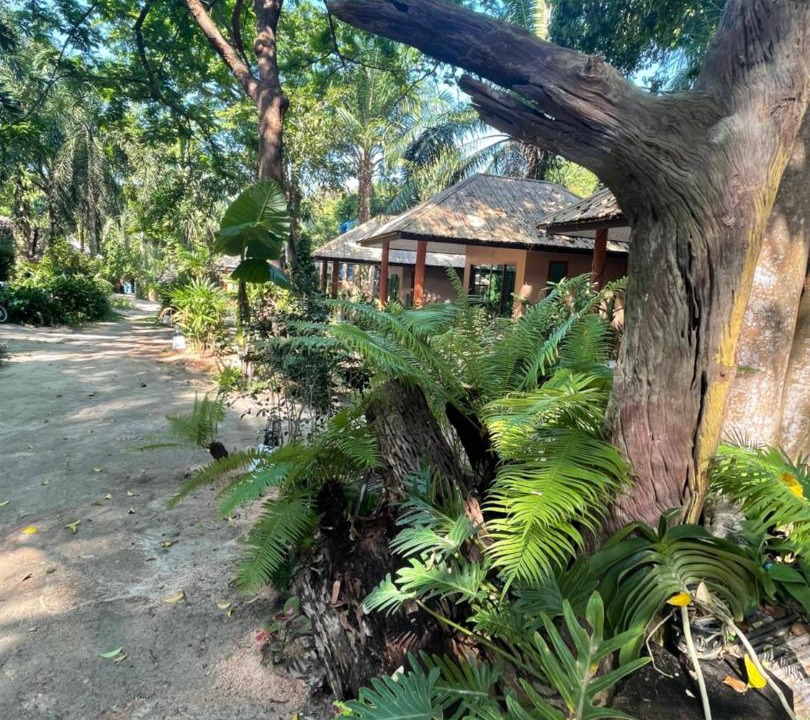 Photo of Others in Ranong