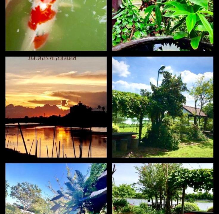 Photo of Others in Sam Phran