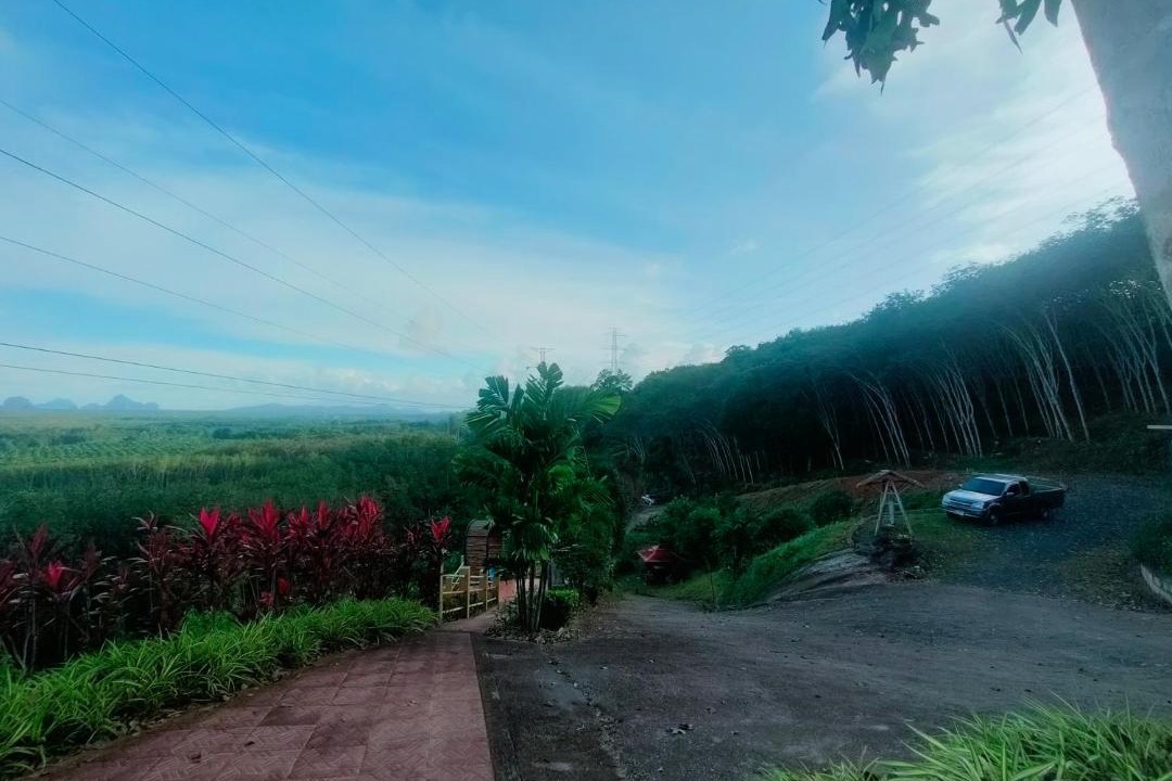 Photo of Others in Phangnga